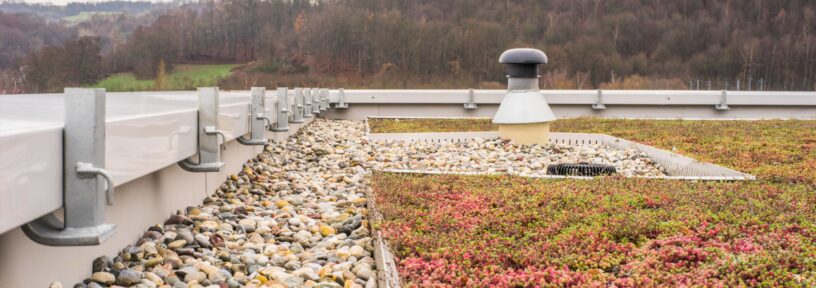 make green roof