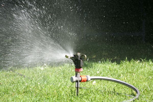 using a sprinkler to water new turf