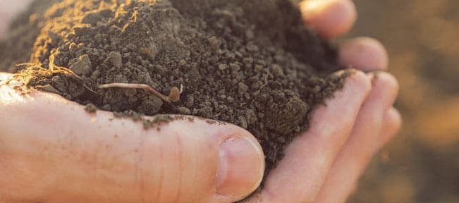 best soil for turfing topsoil