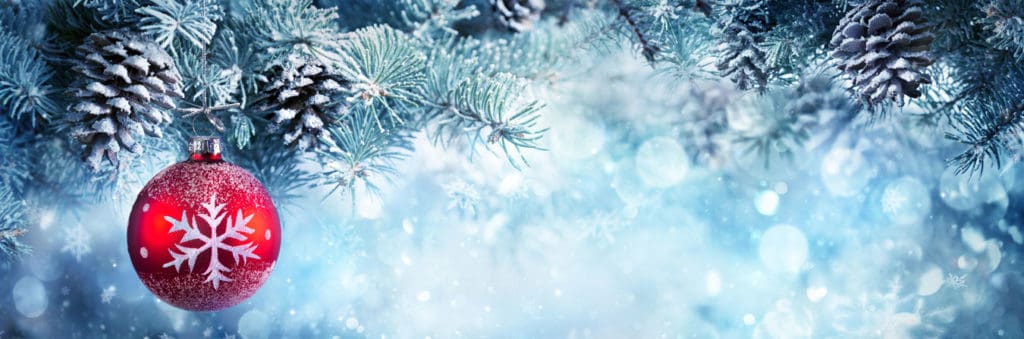 Christmas Opening Times