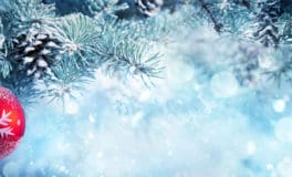 Christmas Opening Times