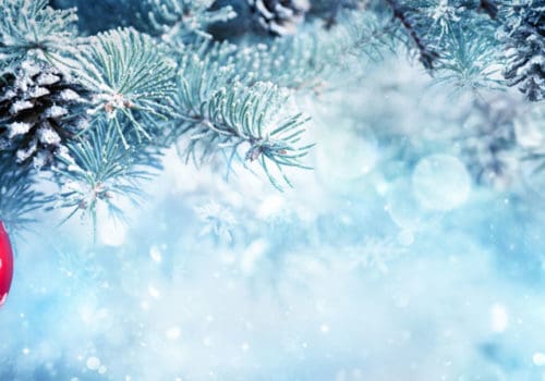 Christmas Opening Times