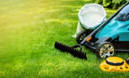 lets build a garden preparation