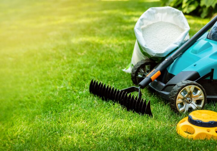lets build a garden preparation
