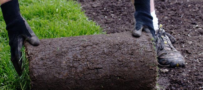 laying turf in may