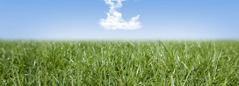 turf prices per square metre