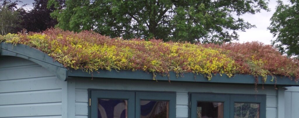 green roofs garden buildings