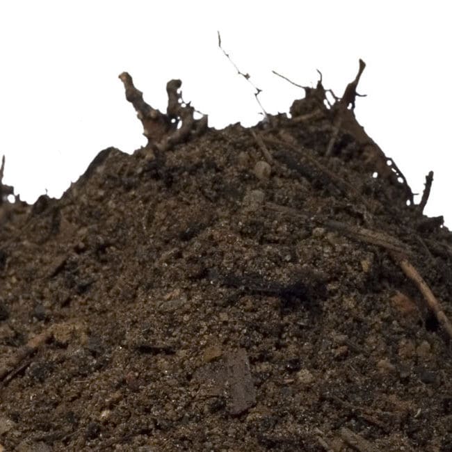 Buy topsoil