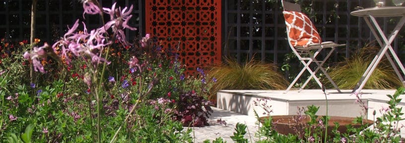 wildflowers growing in a small garden with white paving and bright seating area