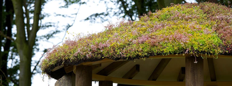 enviromat meadowmat at Tatton
