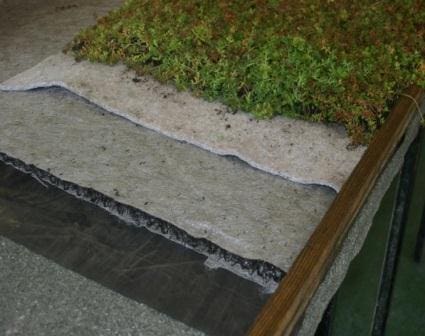 How to make your own green roof | TurfOnline