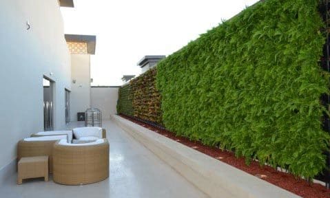 green walls