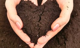 beautiful healthy topsoil