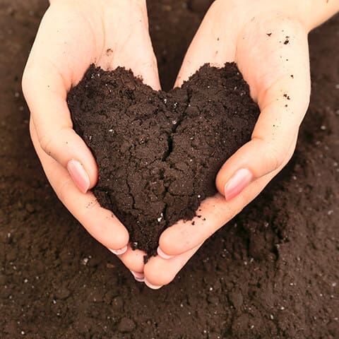 beautiful healthy topsoil