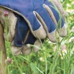 Meadowmat Cottage Garden Seed Mix gallery image