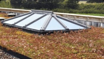 Green Roofing