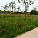 SuDS and Slopes Meadowmat