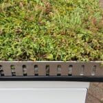 Sedum Flat Roof Kit gallery image