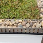 Sedum Flat Roof Kit gallery image