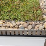 Sedum Flat Roof Kit gallery image