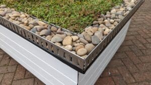 Sedum flat roof kit