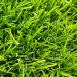 Shadesman+ Lawn Turf gallery image