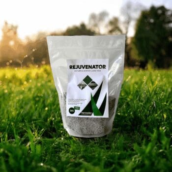 winter lawn feed