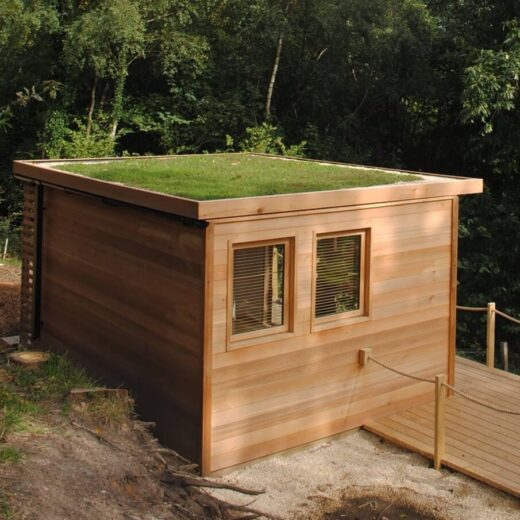 Sedum Flat Roof Kit