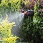 Spear & Jackson 5 Litre Pressure Sprayer gallery image