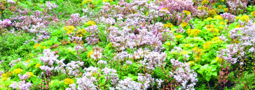 how to install enviromat