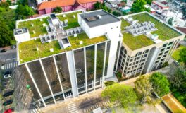 control weeds on a green roof