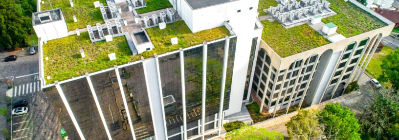 control weeds on a green roof