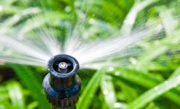 hosepipe ban 2026