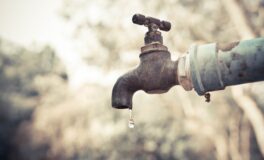 water your feed in