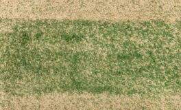 topdress your lawn