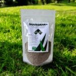 Clover Rich Lawn Seed