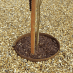 Tree Rings gallery image