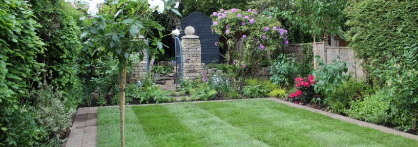 establish your new lawn