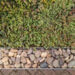 Natural Sea Cobbles gallery image