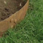 Tree Rings gallery image