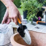 Fiskars Premium Planters Trowel 1000726