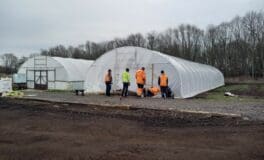 polytunnels