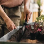 fiskars hand seed trowel 1057641