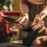 fiskars hand seed trowel 1057641