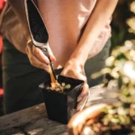 fiskars hand seed trowel 1057641