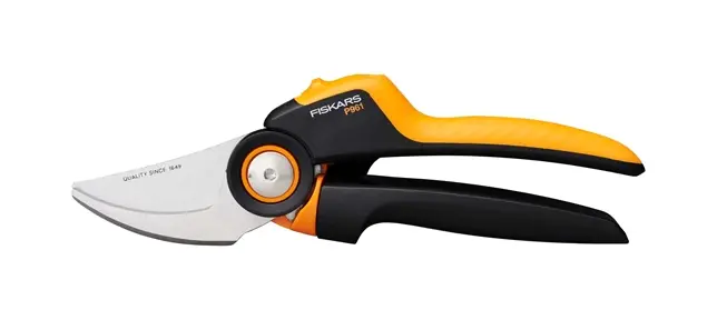 Anvil Pruners: Benefits and Drawbacks