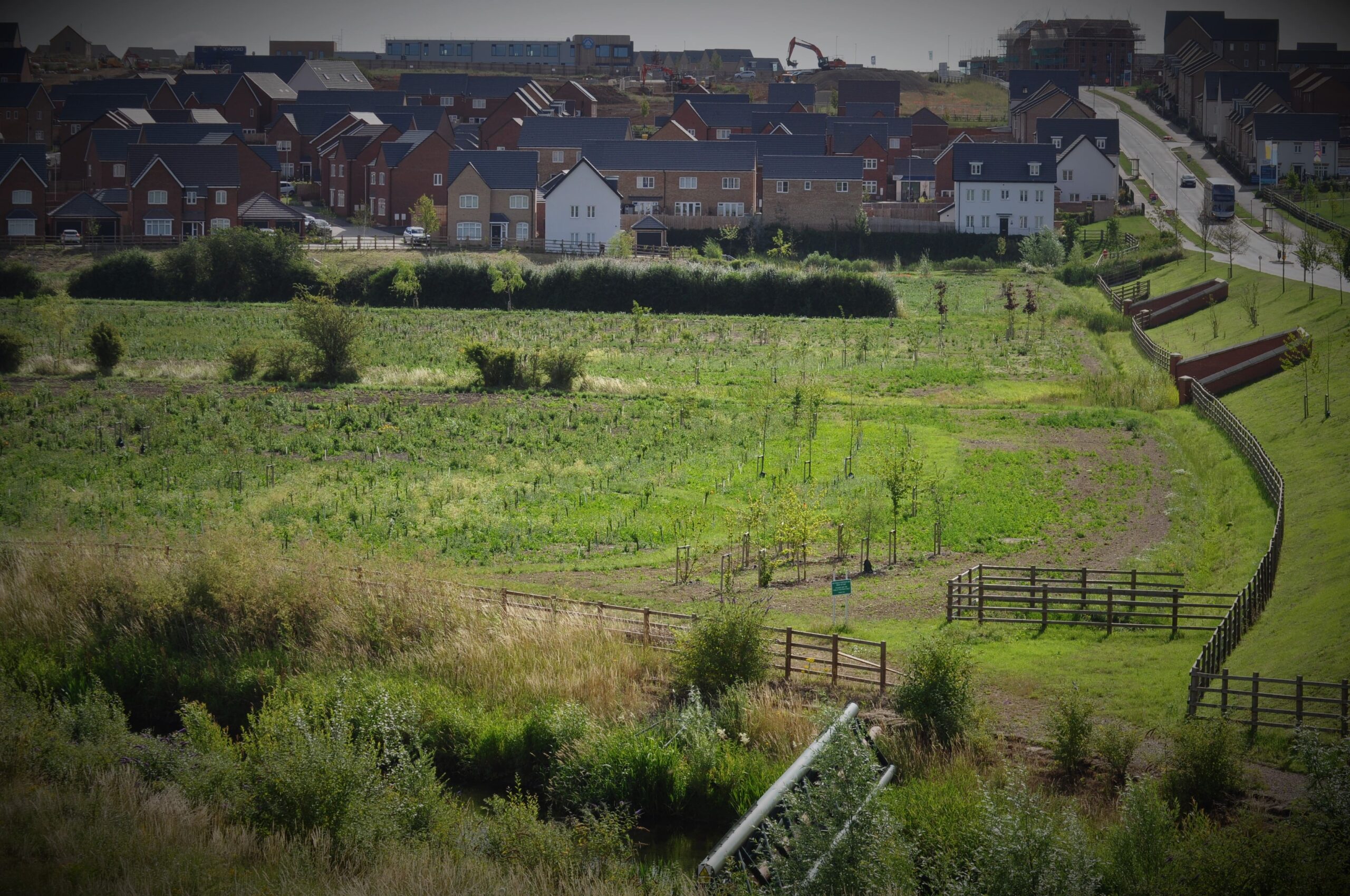 stanton cross