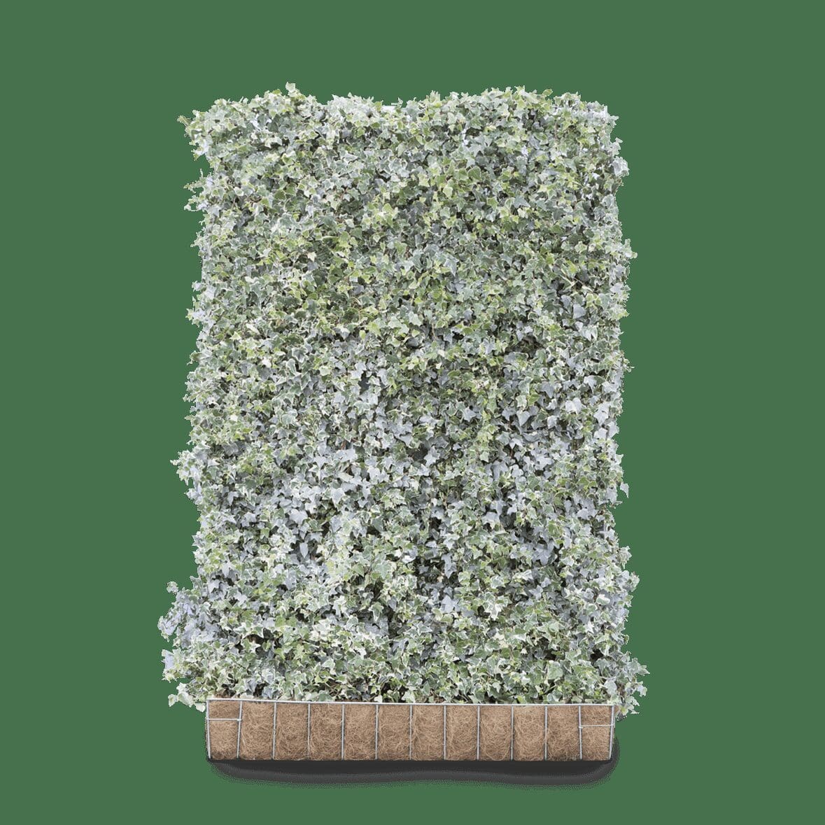living green screen