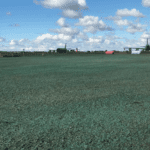 Masterline Clearsky Seed Mix