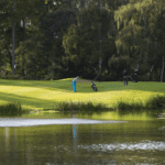 DLF Masterline PM20 Fineturf Seed Mix